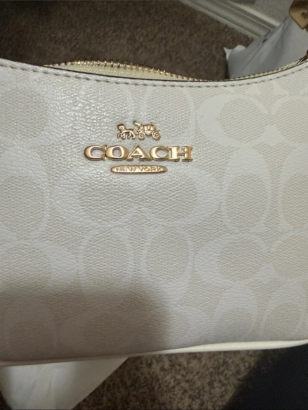 Coach elegant hobo